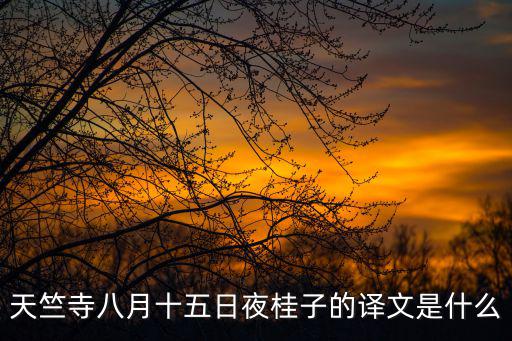 天竺寺八月十五日夜桂子的譯文是什么