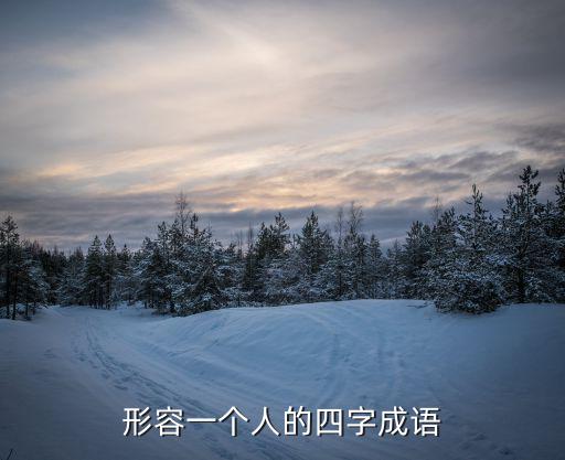 形容一個人的四字成語