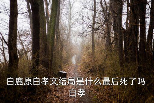 白鹿原白孝文結局是什么最后死了嗎 白孝