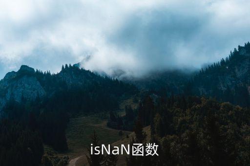 isna函數(shù)，isNaN函數(shù)