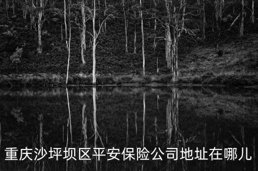重慶沙坪壩區平安保險公司地址在哪兒