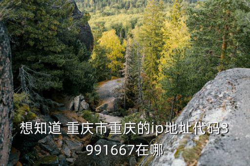 重慶市dhcp域名，想要重慶市IP