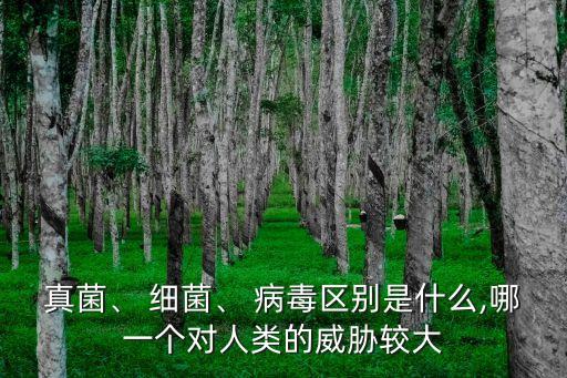 真菌、 細(xì)菌、 病毒區(qū)別是什么,哪一個對人類的威脅較大