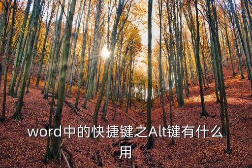 word中的快捷鍵之Alt鍵有什么用