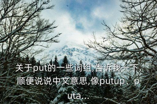 關于put的一些詞組,告訴我一下,順便說說中文意思,像putup、puta...