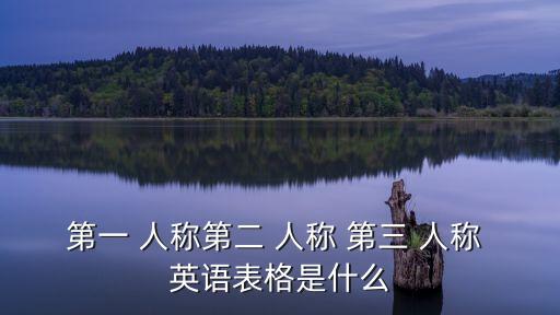 英語第三人稱,英語口語習慣使用賓格形式人稱代詞有哪幾種?