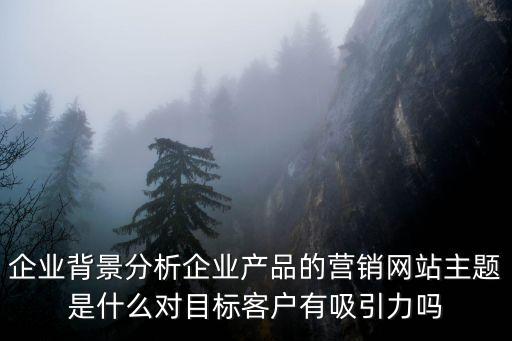 企業背景分析企業產品的營銷網站主題是什么對目標客戶有吸引力嗎