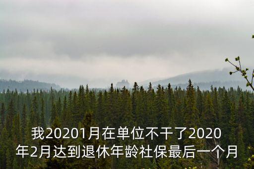 我20201月在單位不干了2020年2月達(dá)到退休年齡社保最后一個(gè)月