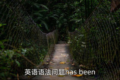 英語語法問題has been