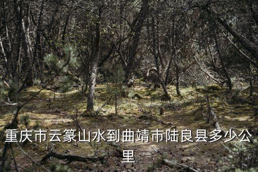 重慶市云篆山水到曲靖市陸良縣多少公里