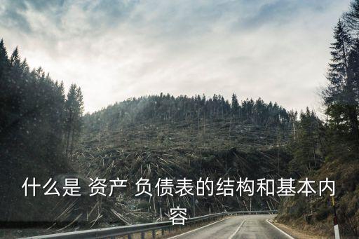 什么是 資產 負債表的結構和基本內容