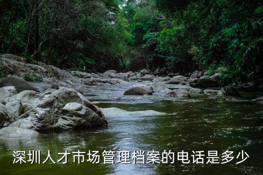 深圳人才市場管理檔案的電話是多少