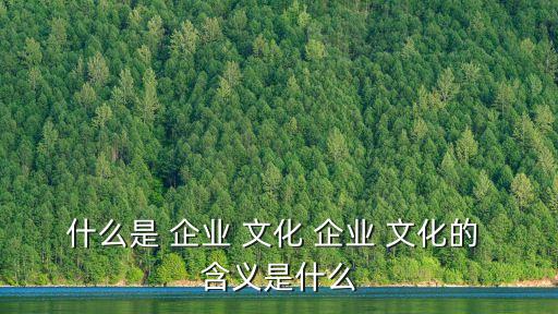 什么是 企業(yè) 文化 企業(yè) 文化的 含義是什么