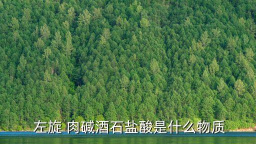  左旋 肉堿酒石鹽酸是什么物質(zhì)