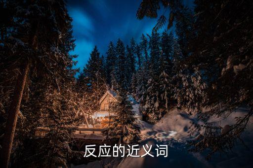 反應(yīng)的近義詞