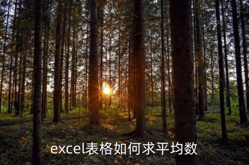 excel表格如何求平均數