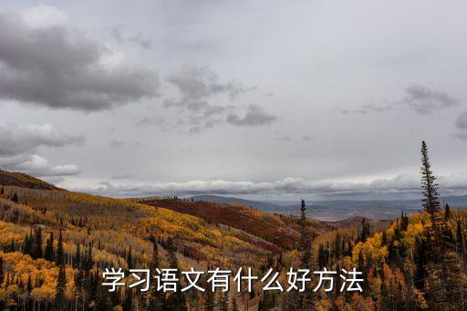 學(xué)習(xí)語(yǔ)文有什么好方法