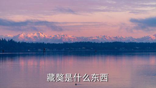 藏獒是什么東西