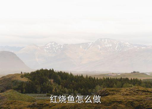 紅燒魚怎么做