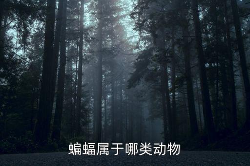 蝙蝠屬于哪類動物