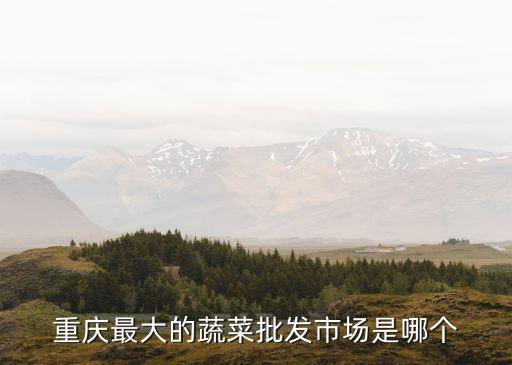 重慶最大的蔬菜批發(fā)市場是哪個(gè)