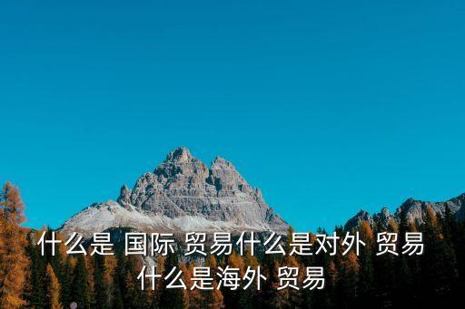 什么是 國際 貿易什么是對外 貿易什么是海外 貿易