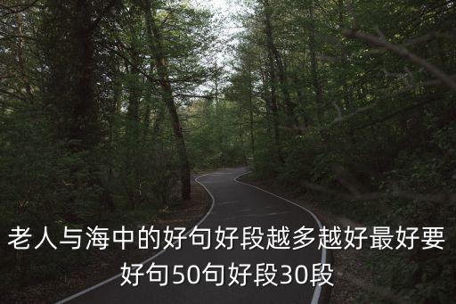 老人與海中的好句好段越多越好最好要好句50句好段30段