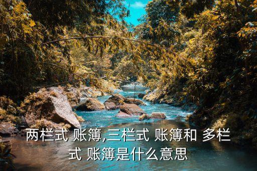 兩欄式 賬簿,三欄式 賬簿和 多欄式 賬簿是什么意思