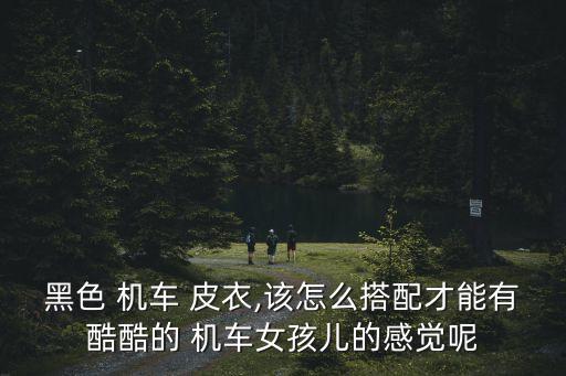 機(jī)車皮衣,機(jī)車皮衣入門款顏色搭配起來超級帥氣!