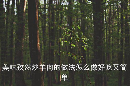 美味孜然炒羊肉的做法怎么做好吃又簡單