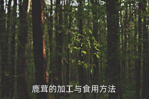 肉蓯蓉的食用方法,肉蓯蓉與涼拌菜除苦方法:一同吃一同嘗