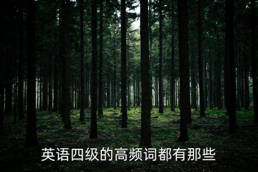 英語四級的高頻詞都有那些