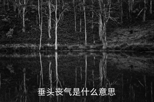 垂頭喪氣是什么意思