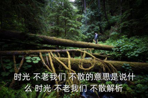  時(shí)光 不老我們 不散的意思是說什么 時(shí)光 不老我們 不散解析