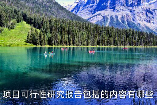 項目可行性研究報告包括的內容有哪些