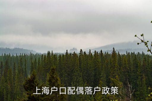 上海戶口配偶落戶政策