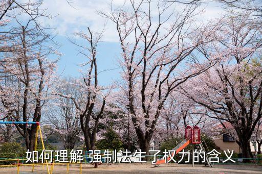 如何理解 強制法生了權力的含義