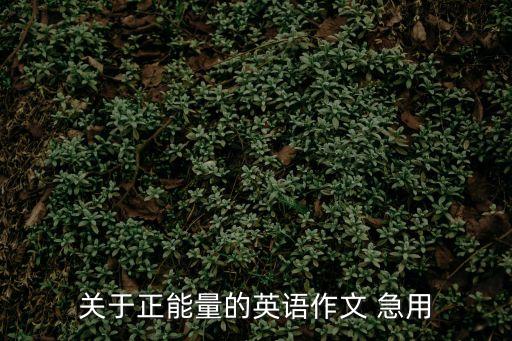 關(guān)于正能量的英語作文 急用