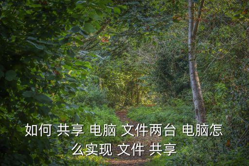 如何 共享 電腦 文件兩臺(tái) 電腦怎么實(shí)現(xiàn) 文件 共享