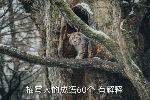 描寫人的成語60個 有解釋