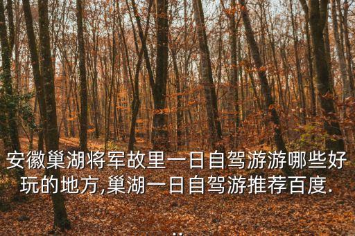安徽巢湖將軍故里一日自駕游游哪些好玩的地方,巢湖一日自駕游推薦百度...