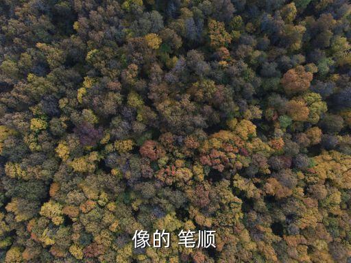 像的 筆順