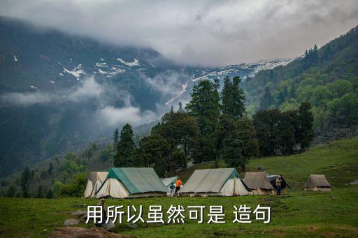 用所以雖然可是 造句