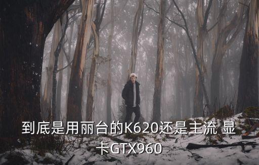 到底是用麗臺的K620還是主流 顯卡GTX960