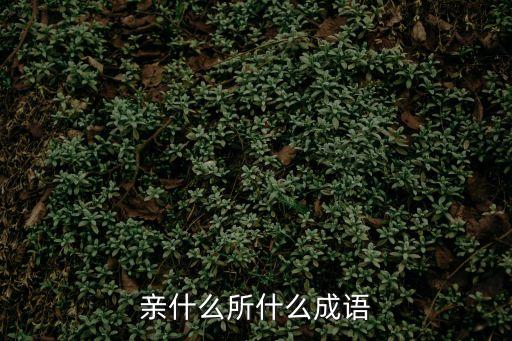 親什么所什么成語