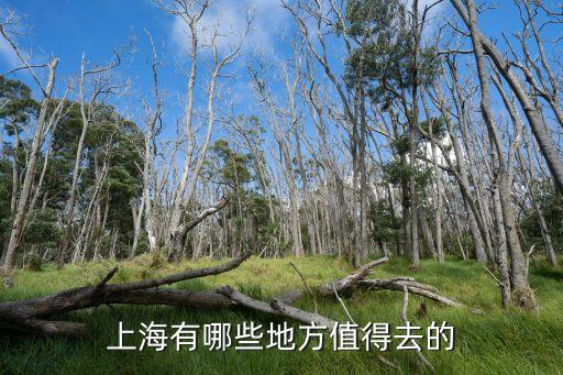 上海有哪些地方值得去的