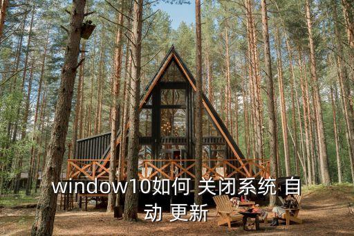 window10如何 關閉系統 自動 更新