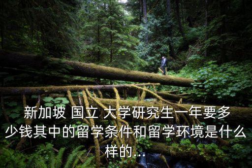  新加坡 國立 大學研究生一年要多少錢其中的留學條件和留學環境是什么樣的...