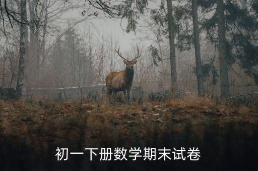 初一下冊數學期末試卷