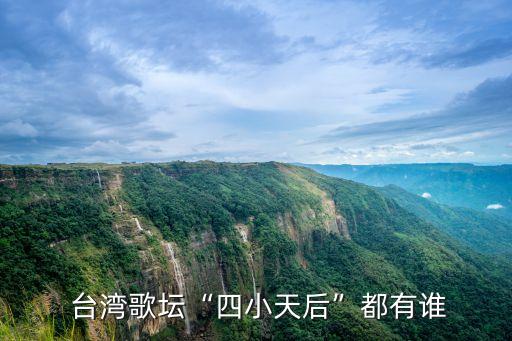 臺灣女歌手,臺灣女歌手張韶涵的極光與暗光》